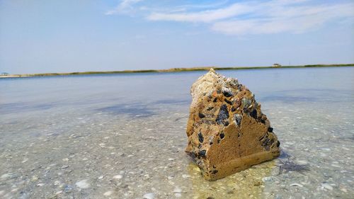 Rock on shore at beach against sky