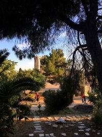 People walking by trees against sky