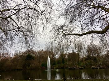 Scenic view of lake against bare trees