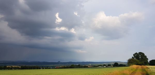 Scenic view of agricultural field against sky