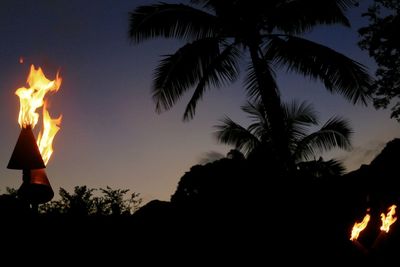 View of trees at sunset