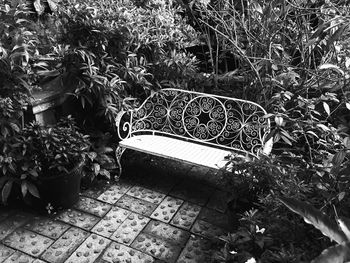 High angle view of potted plants in park