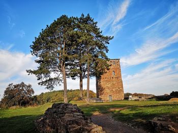 Low angle view of old ruin tree on field