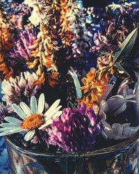 Close-up of multi colored flowers in water