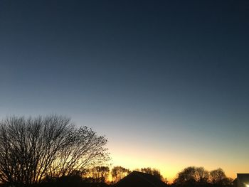 Silhouette trees against sky at night