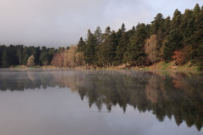 Scenic view of lake in forest against sky