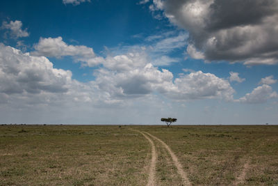 Scenic view of field against sky