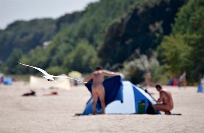 Close-up of people on beach against trees