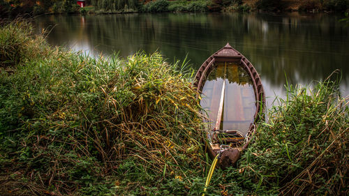 Reflection of grass in lake