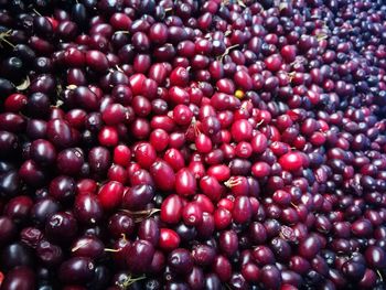 Full frame shot of cherries