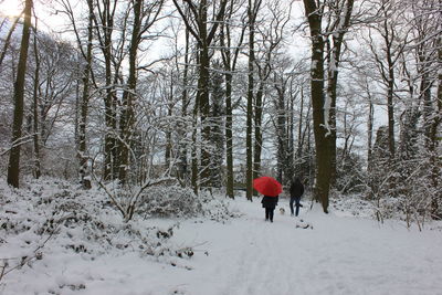 Rear view of people walking through  a snow covered forest