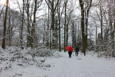 Rear view of person walking on snow covered land