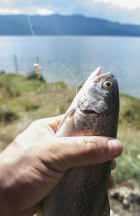 Close-up of hand holding small fishing