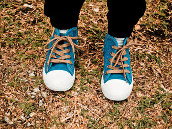 Low section of person standing on field