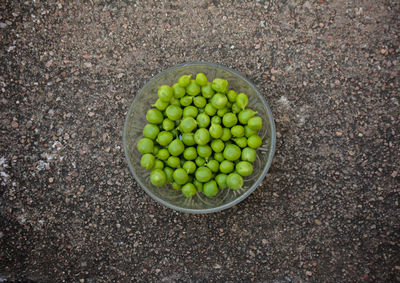 High angle view of vegetables in bowl