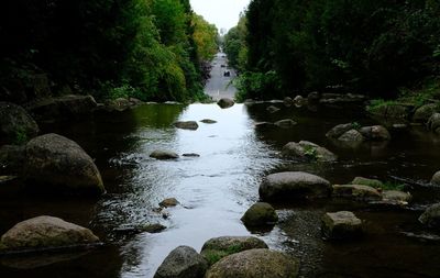 River amidst trees in forest against sky