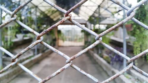 Close-up of chainlink fence