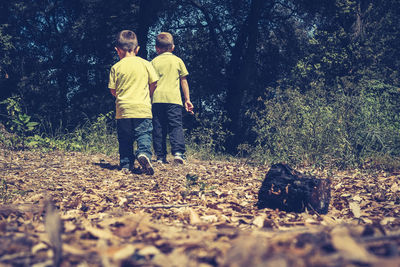 Men walking in forest