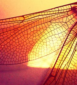 Full frame shot of red wall