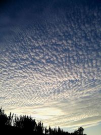 Low angle view of silhouette trees against sky at sunset