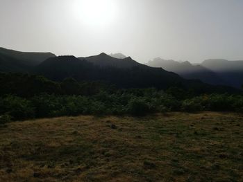 Scenic view of landscape against clear sky