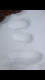 Close-up of white flowers
