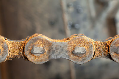 Close-up of rusty metal