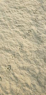 High angle view of footprints on sand