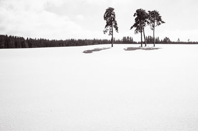 Scenic view of snow covered field against sky