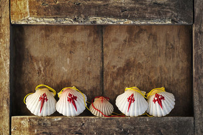 Compostela pilgrim scallops in wood background , way of st james , camino de santiago