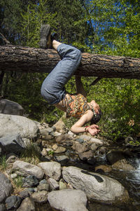 Side view of woman hanging on tree trunk in forest