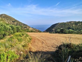 Scenic view of landscape against sky