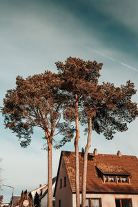 Low angle view of tree by building against sky