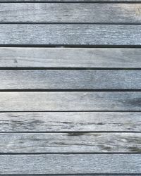 Close-up of tree stump