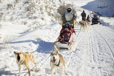 Family dogsledding on snowy field