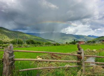 Scenic view of grassy field against cloudy sky