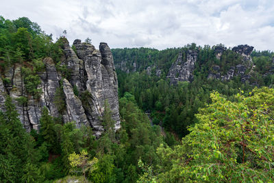 Panoramic view of rocks in forest against sky
