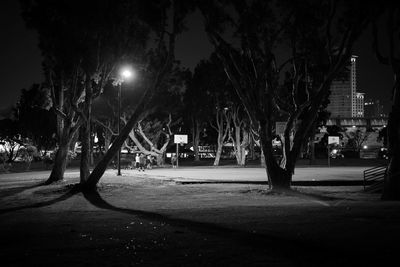 View of trees in city at night