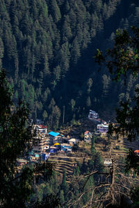 High angle view of trees and houses in forest