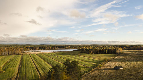 Scenic view of agricultural field against sky