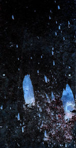 High angle view of starfish on rock at night