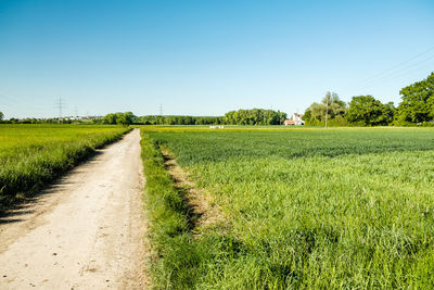 Scenic view of field against clear sky