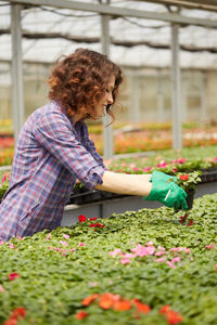 Midsection of woman holding flower in greenhouse