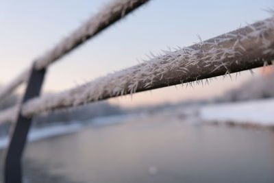 Close-up of frozen fence against sky