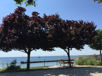 Scenic view of sea against clear sky