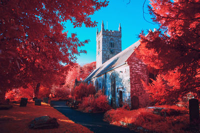 Trees by church against blue sky during autumn