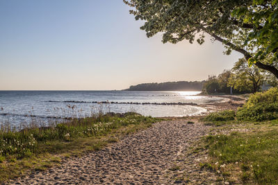 Scenic view of sea against clear sky