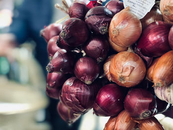 Onions for sale