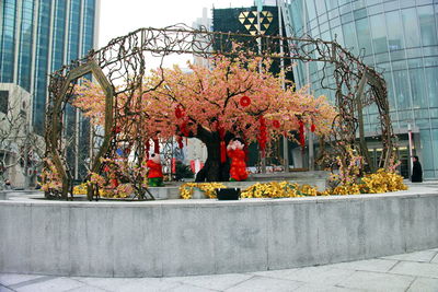 View of flowers in building