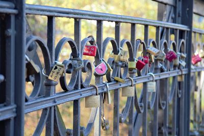 Close-up of padlocks on railing